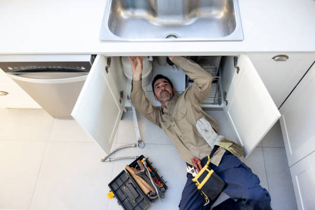Best Plumbing Services Near Me  in Long Prairie, MN