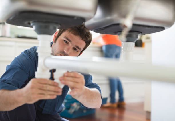 Best Affordable Plumber Near Me  in Long Prairie, MN